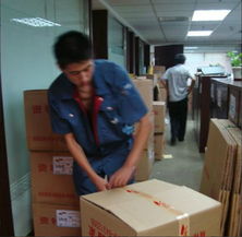 郴州專業(yè)人力出租與大連家政服務(wù) 高效解決您的用工需求