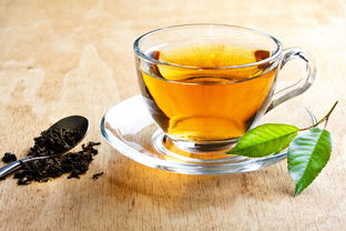 南園極茶葉 產(chǎn)品魅力與加盟店茶座體驗(yàn)全解析